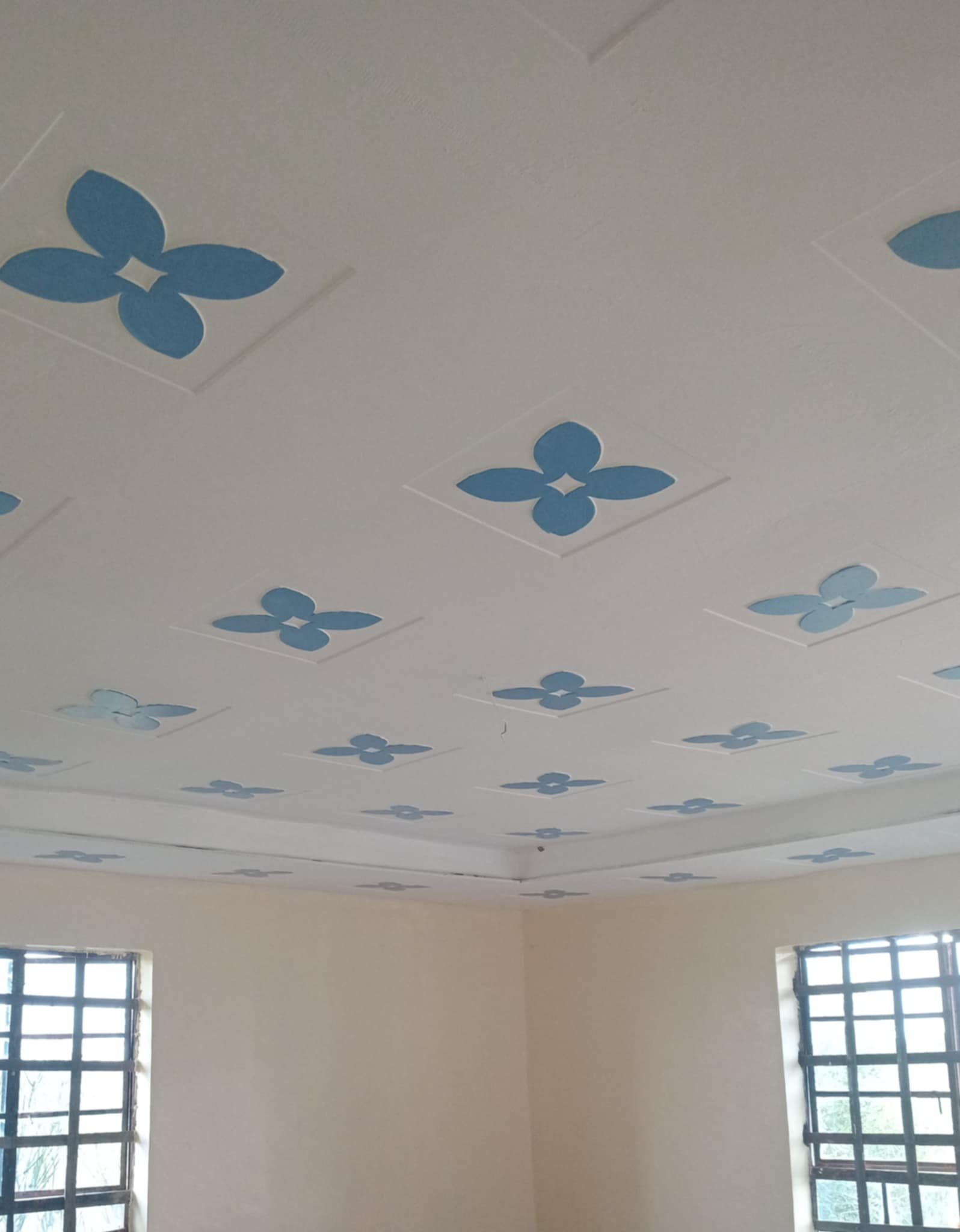 Ceiling project